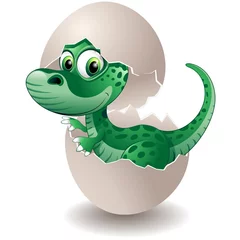 Peel and stick wall murals Draw Dinosauro Cucciolo in Uovo-Baby Dinosaur on his Egg-Vector
