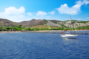 Obraz premium Camel Beach 2