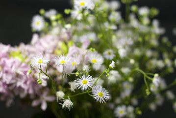 Bouquet of wild flowers on a black background