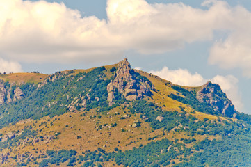 Summer, green trees and mountains