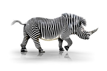 Fototapeta Zebra-Horn obraz