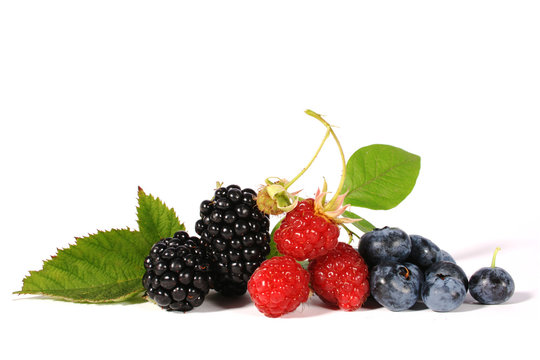 Beeren