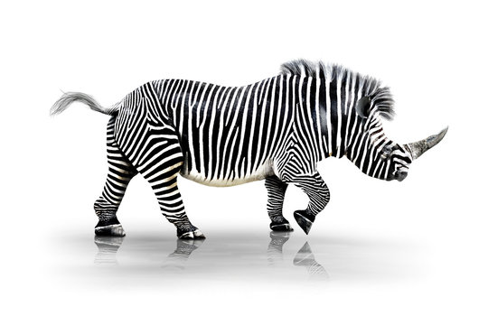 Zebra-Horn