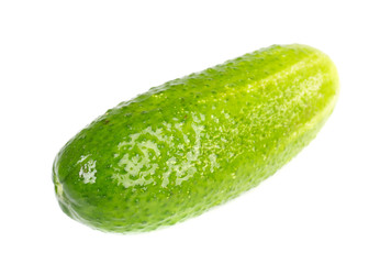 Cucumber isolated on white background.