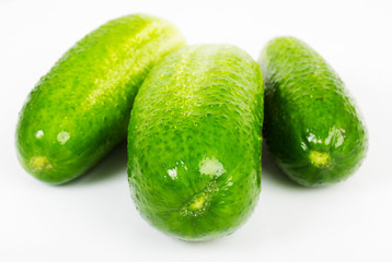 Cucumber isolated on white background.