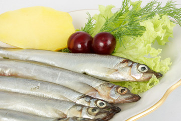 some smelts isolated on white background