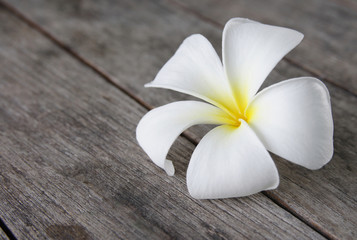 Fototapeta na wymiar Tropikalnych kwiatów frangipani (plumeria) na drewno