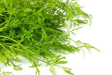 dill on white background
