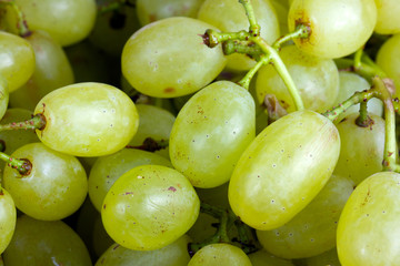 bunch of fresh grapes