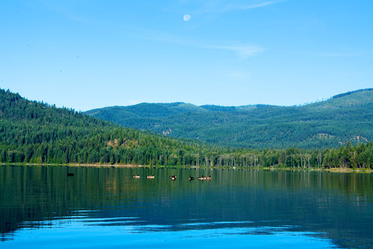 Moon over the Lake II
