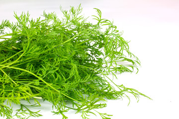 dill on white background