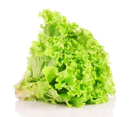 lettuce isolated on white