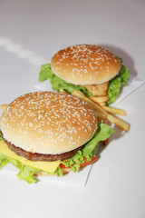 delicious cheeseburger with french fries