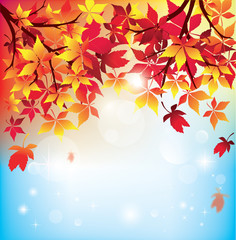 Naklejka na ściany i meble Vector Background-Autumn Leaves Falling