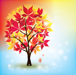 Obraz premium Autumn Tree-Autumn Leaves Falling