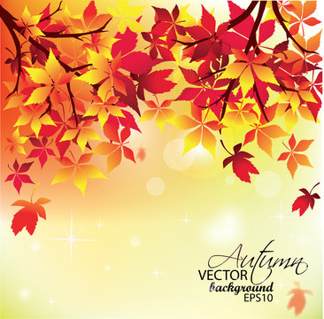 Vector Background-Autumn Leaves Falling