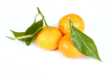 mandarin with green leaves isolated