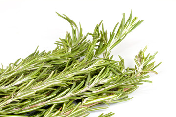 rosemary herb isolated on white