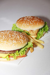 delicious cheeseburger with french fries