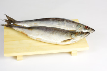 Salted herring isolated on the white background
