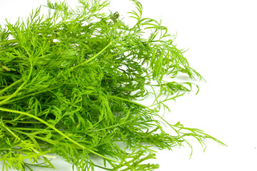 dill on white background