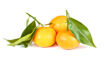 mandarin with green leaves isolated