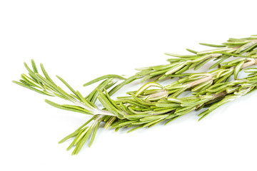 rosemary herb isolated on white