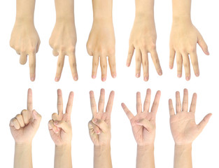set counting number 1-5 of woman hand