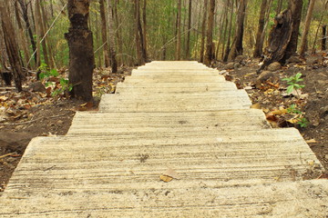 Concrete stair down to the hill