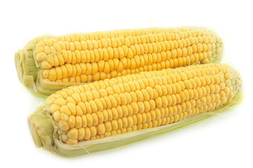 yellow corn