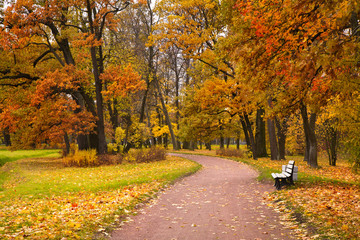 autumn in park
