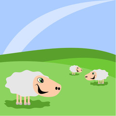 Grazing sheep on a green meadow