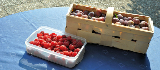 eigene Ernte (Pflaumen und Himbeeren)