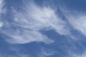 cirrus clouds