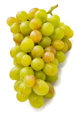 grape