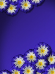 Blaue Blumen Grußkarte