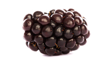 blackberry on white