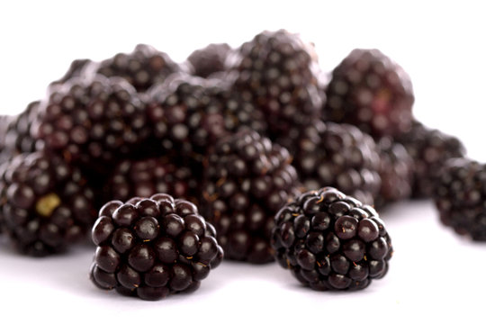 blackberries on white