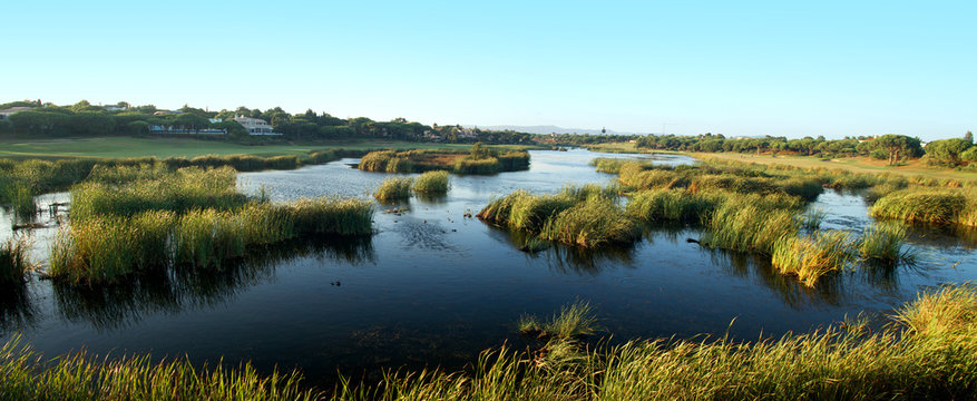 natural marshlands