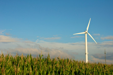 Windkraftrad mit Maisfeld