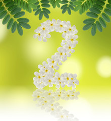 Numbers two made of tropical flowers frangipani (plumeria) on na