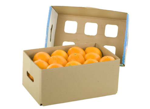 Oranges in Box with CoverIsolated