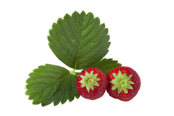 Isolated Strawberries