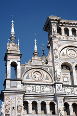 particolare Certosa di Pavia