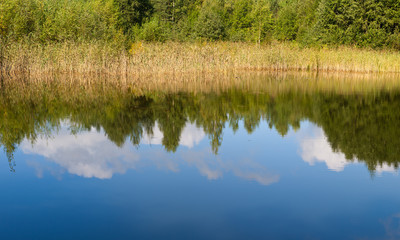 Sunny reflections