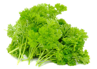 Bunch of Curly Parsley Isolated on White Background