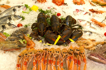 Astici e scampi - crostacei