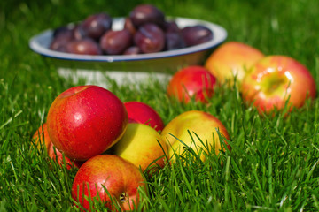 Obst auf der Wiese