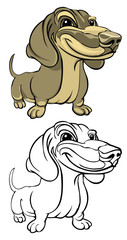 Vector illustration dachsie isolated on white background