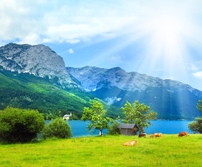 Alpine summer lake view